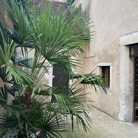 Cosy Appartement Hyper Centre Ville Avec Cour + Patio Auxerre Luaran gambar